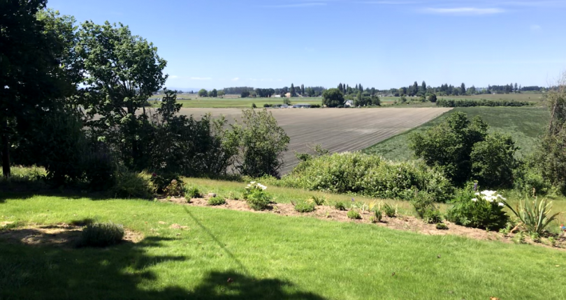 Land for sale in Oregon- 10.14 acres Newburg