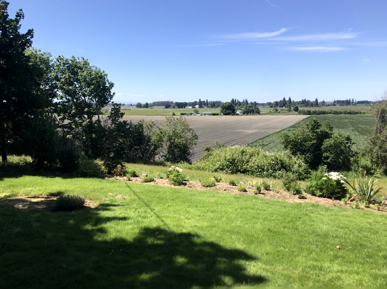 Land for sale in Oregon- 10.14 acres Newburg