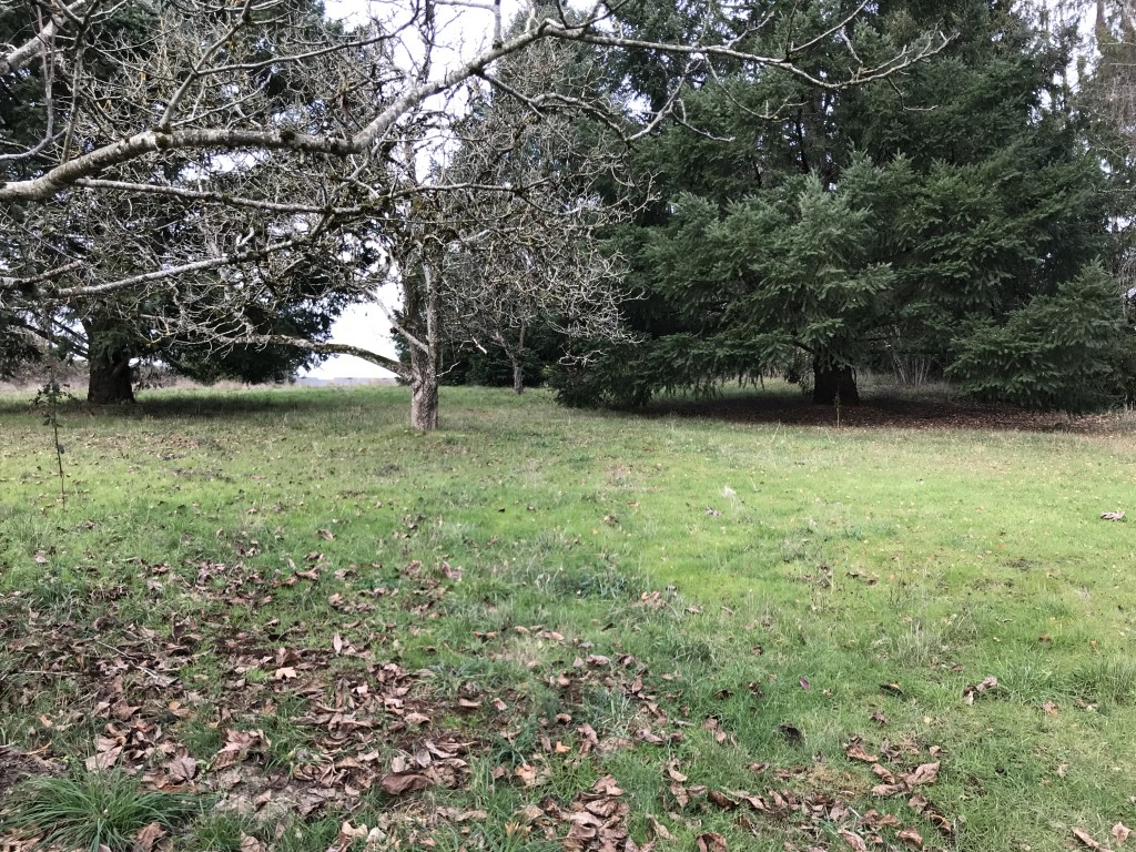 Land for sale in oregon