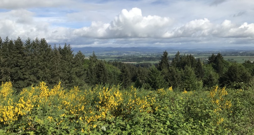 Land for sale in Oregon- 4.85 ac