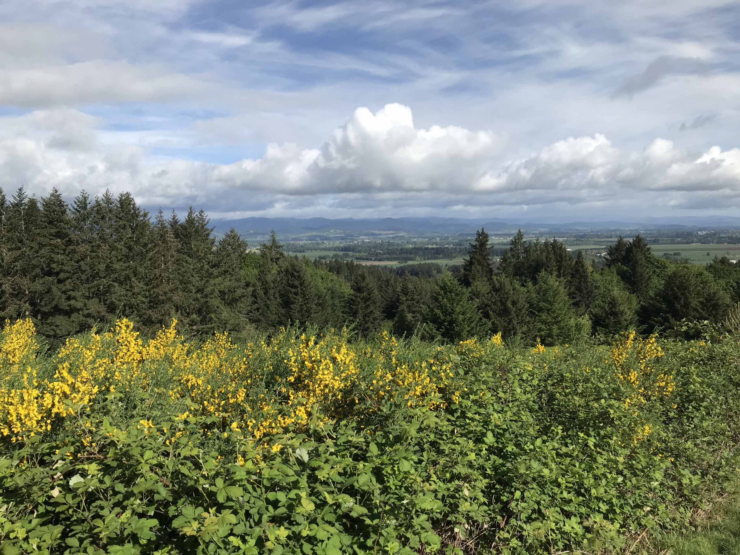 Land for sale in Oregon- 4.85 ac