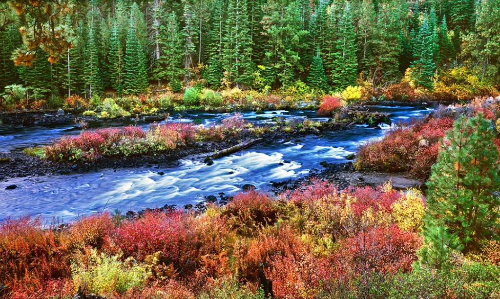 Real Estate SAlem Oregon