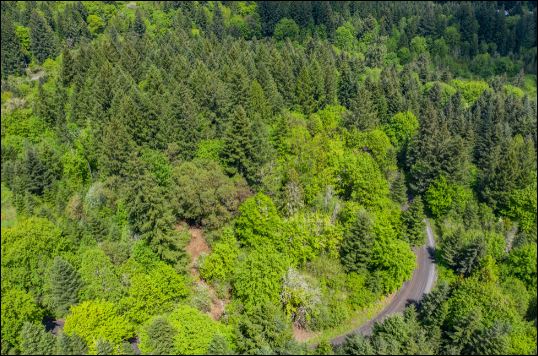 Land for sale in Oregon- 4.32 ac