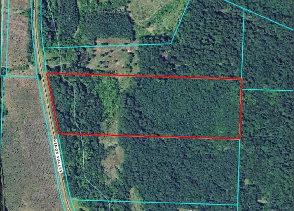 Discover Why Some Land for Sale in Oregon Is a Sweet Investment