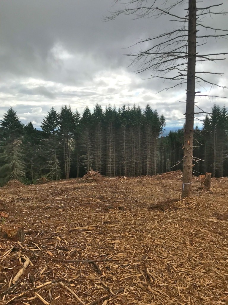 Land for sale in Oregon