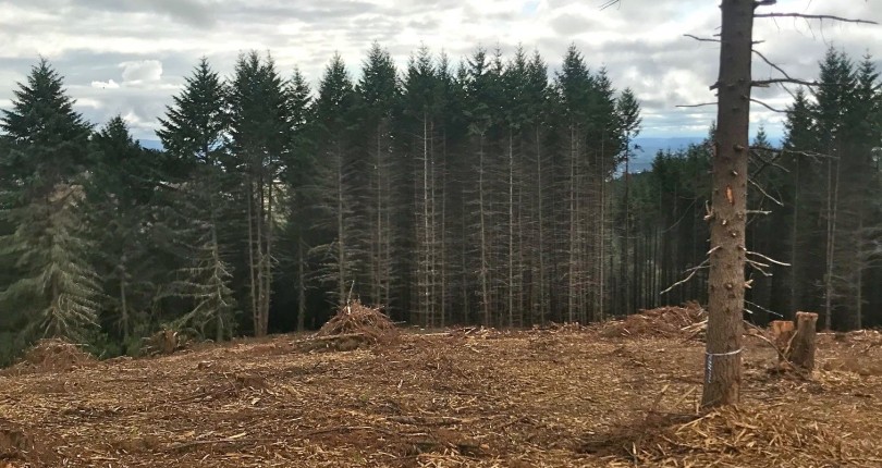 Land for Sale in Oregon