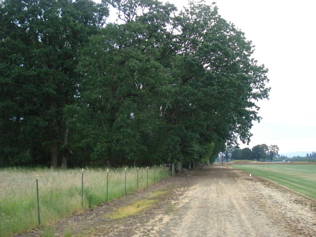 build a house on bare land in Oregon