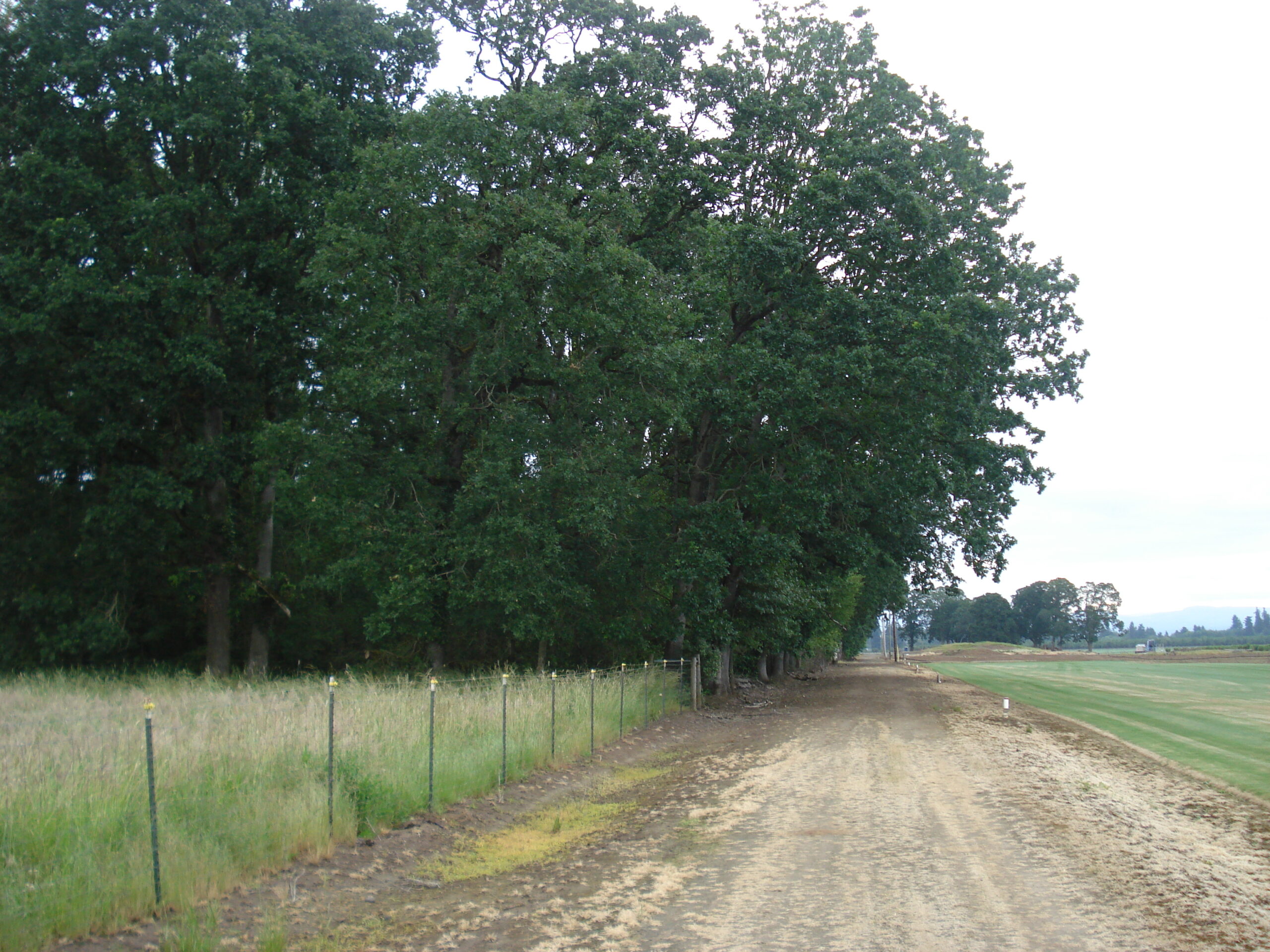 build a house on bare land in Oregon
