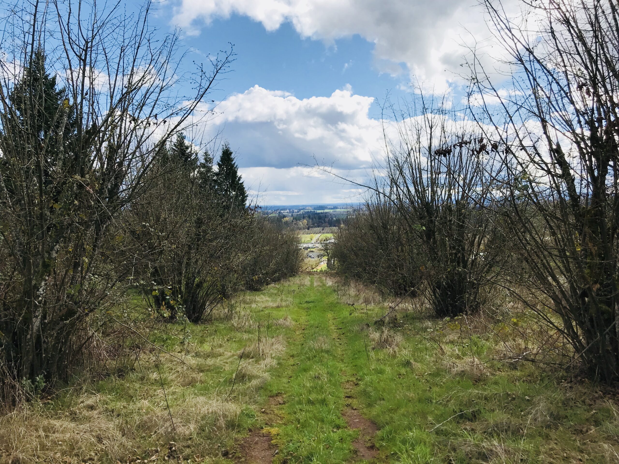 oregon land