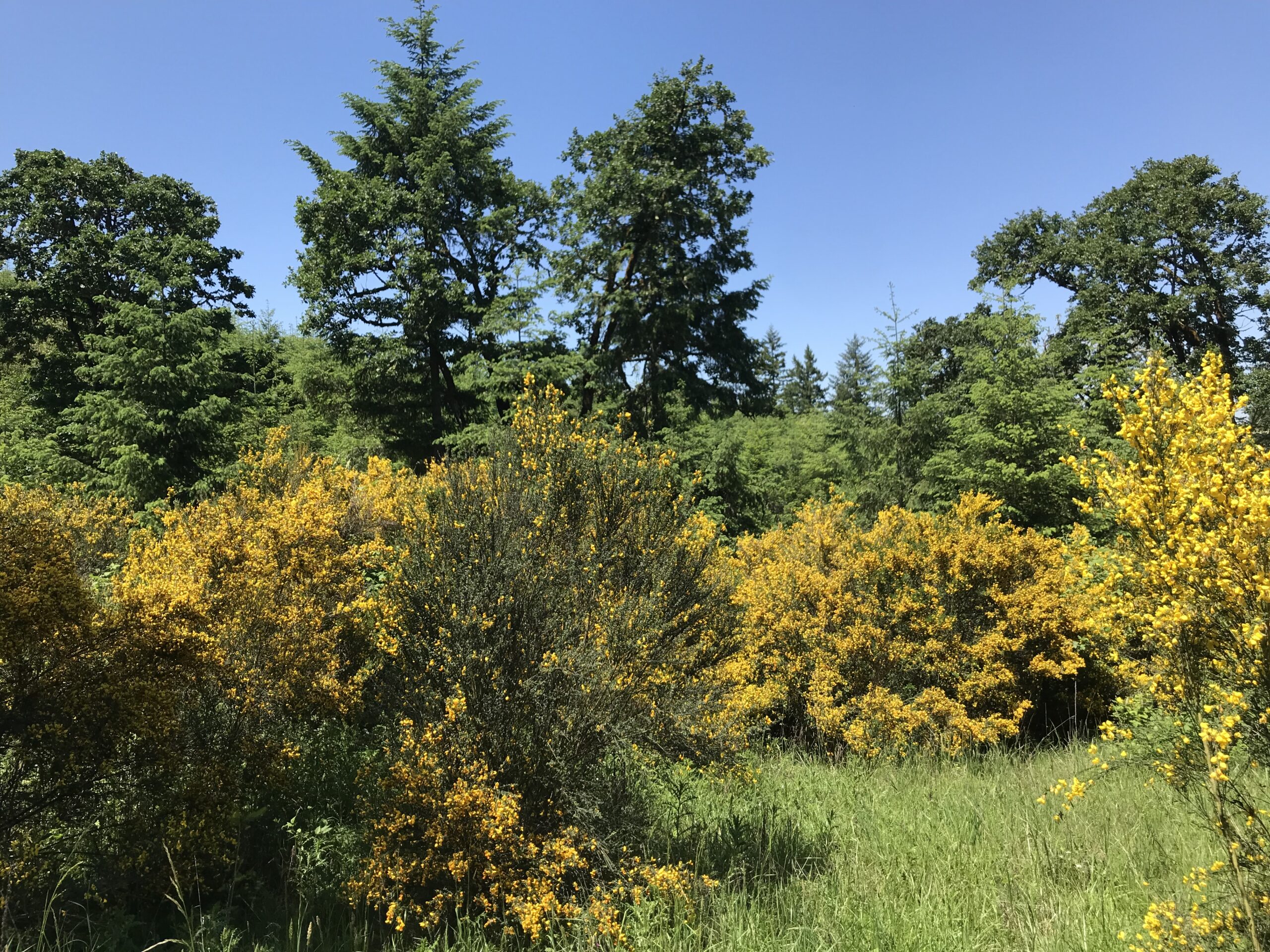 Salem Oregon land specialist, Oregon bare land