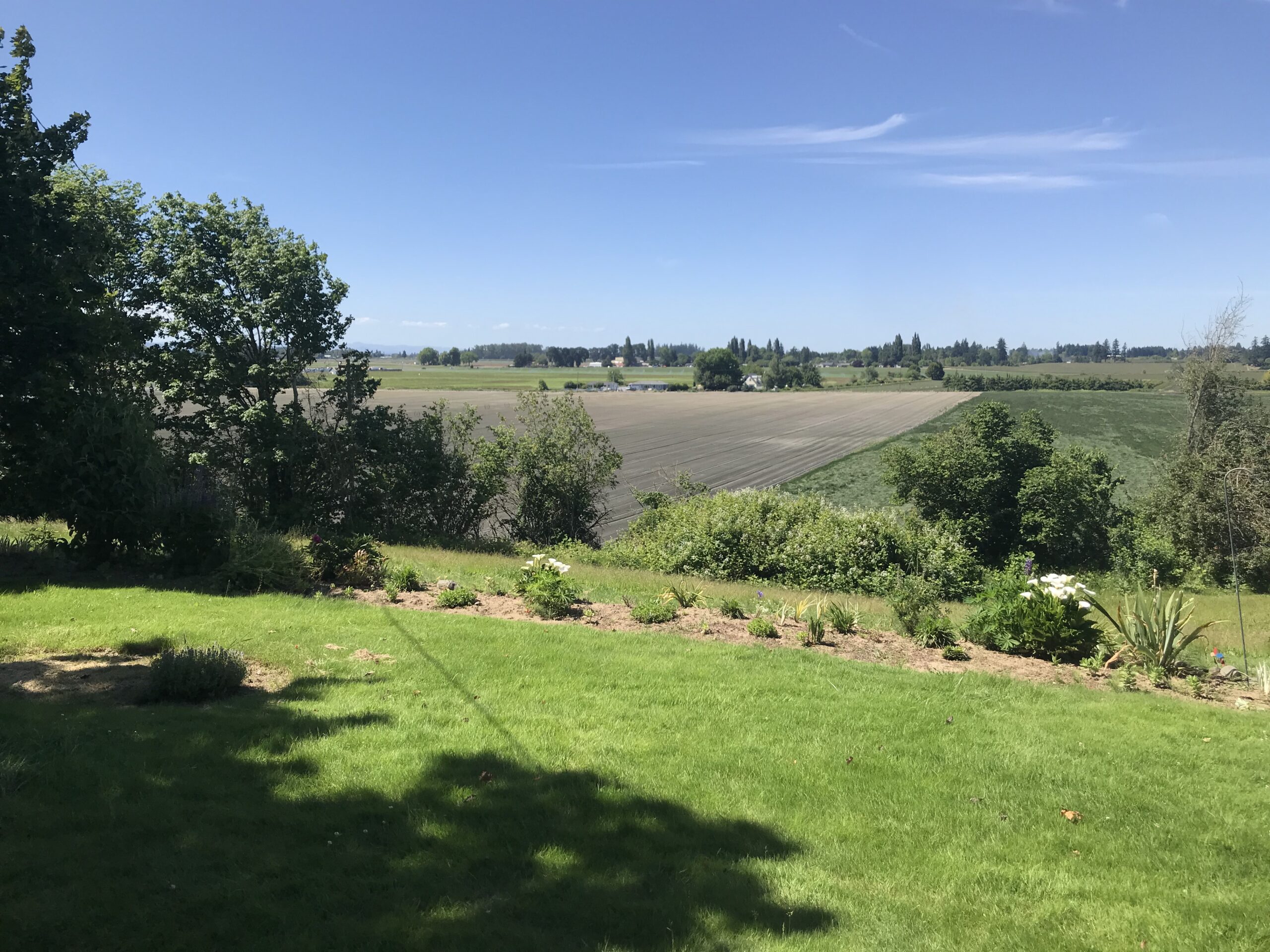 Oregon farmland taxes, farmland values in Marion County Oregon