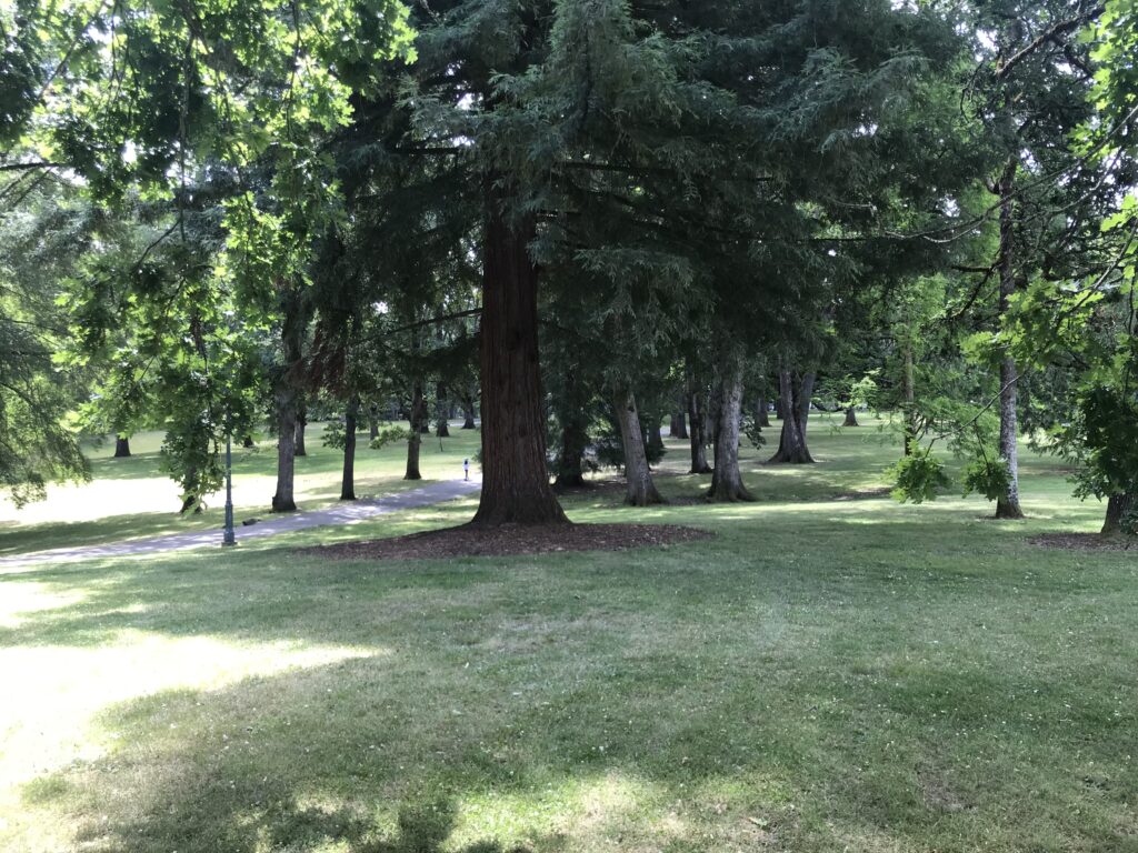 land specialist Salem Oregon