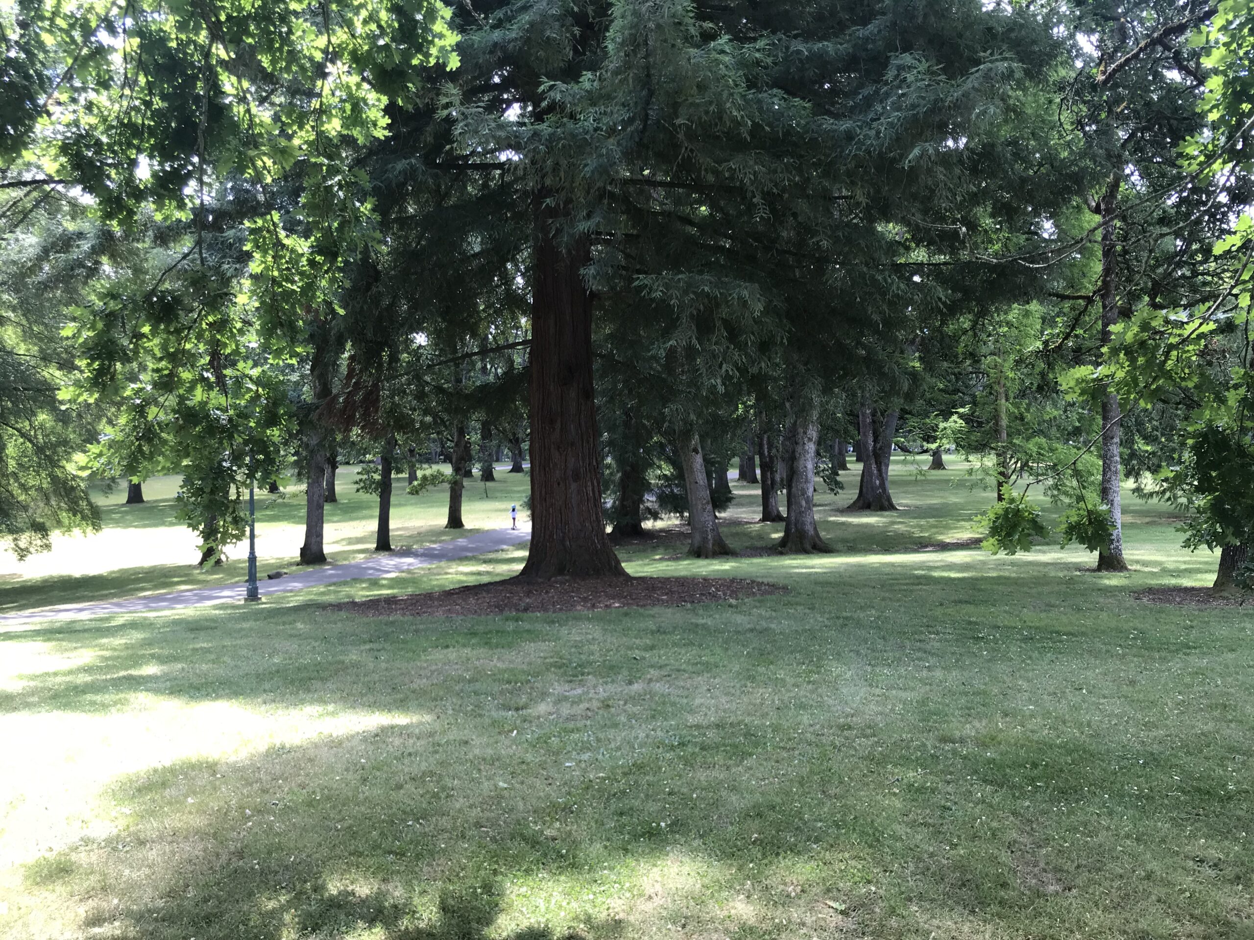 land specialist Salem Oregon