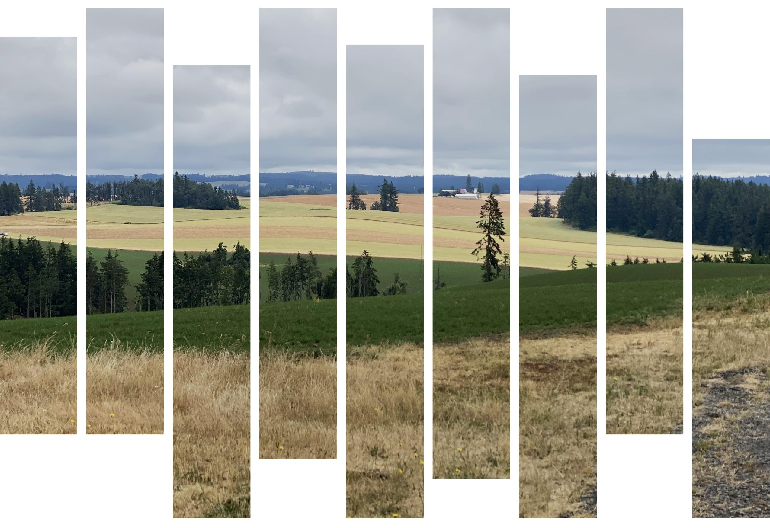 Polk County Oregon real estate market