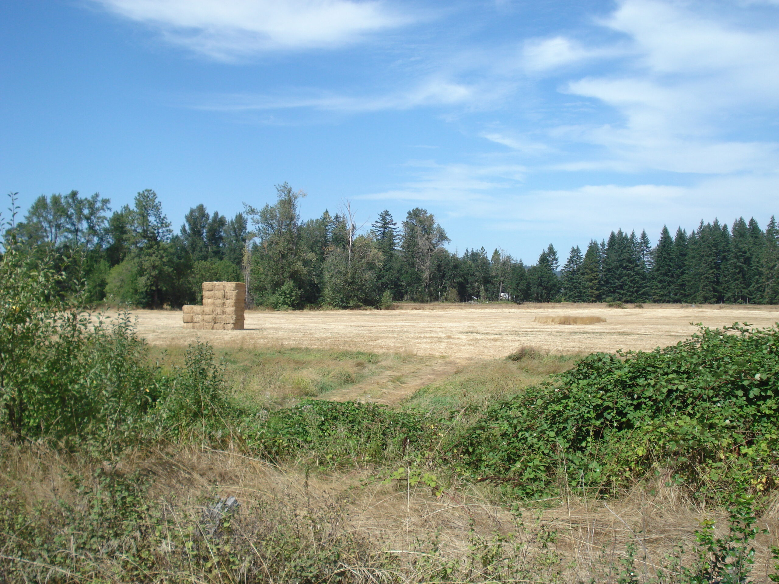 Oregon land selling