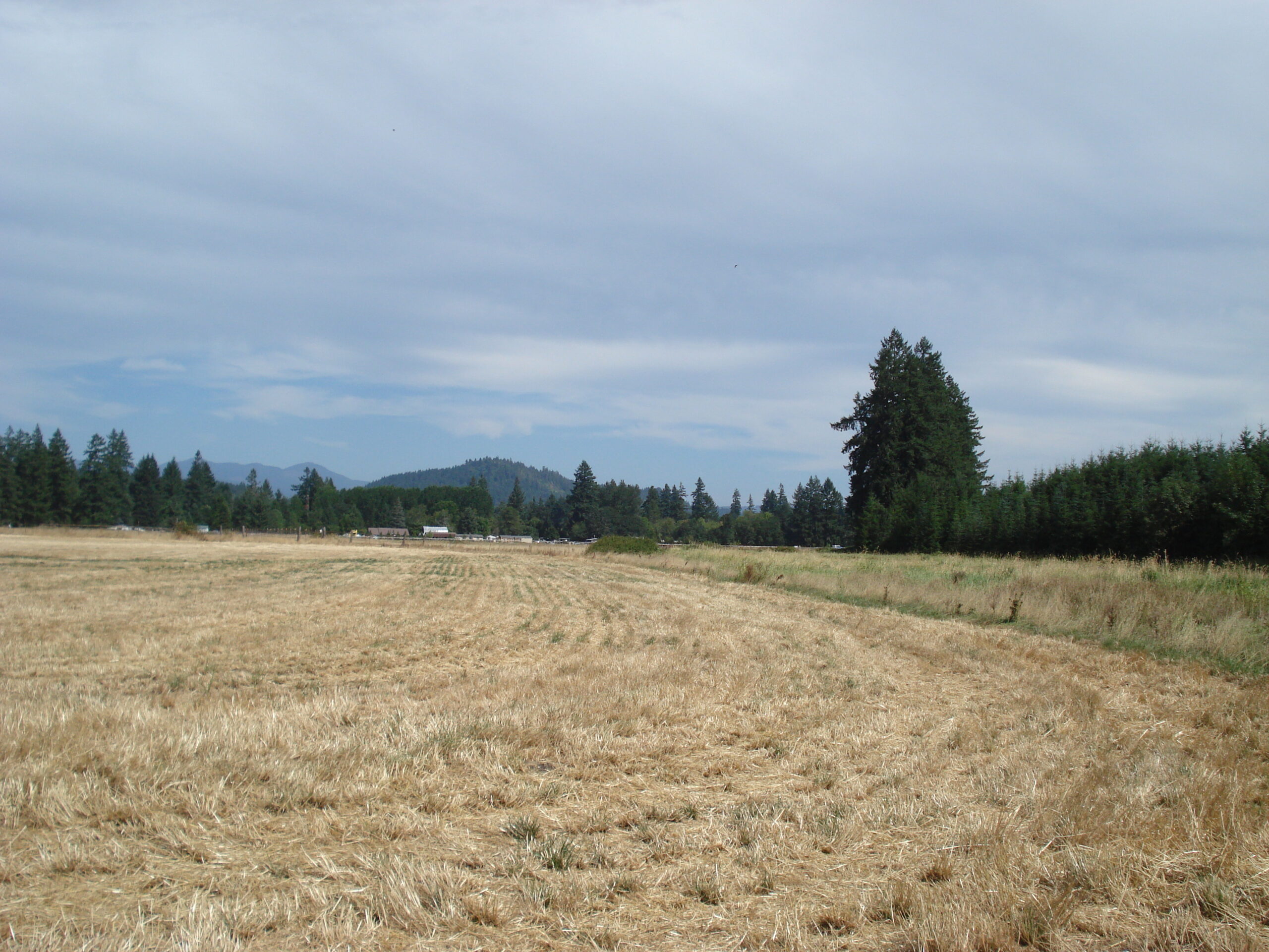 How Long Does It Take to Sell Bare Land in Oregon Right Now