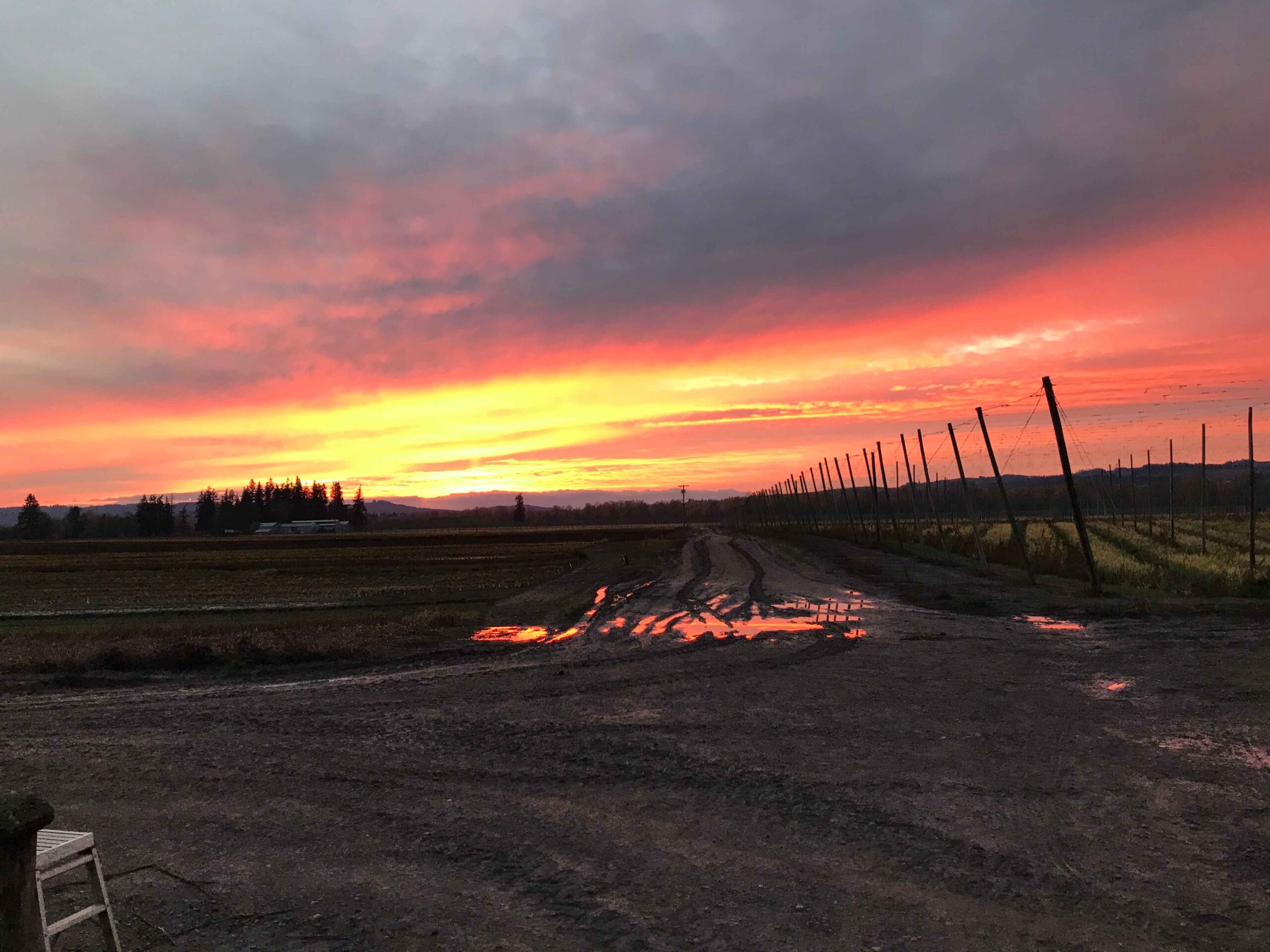 Oregon farmland, Oregon farmland capital gains