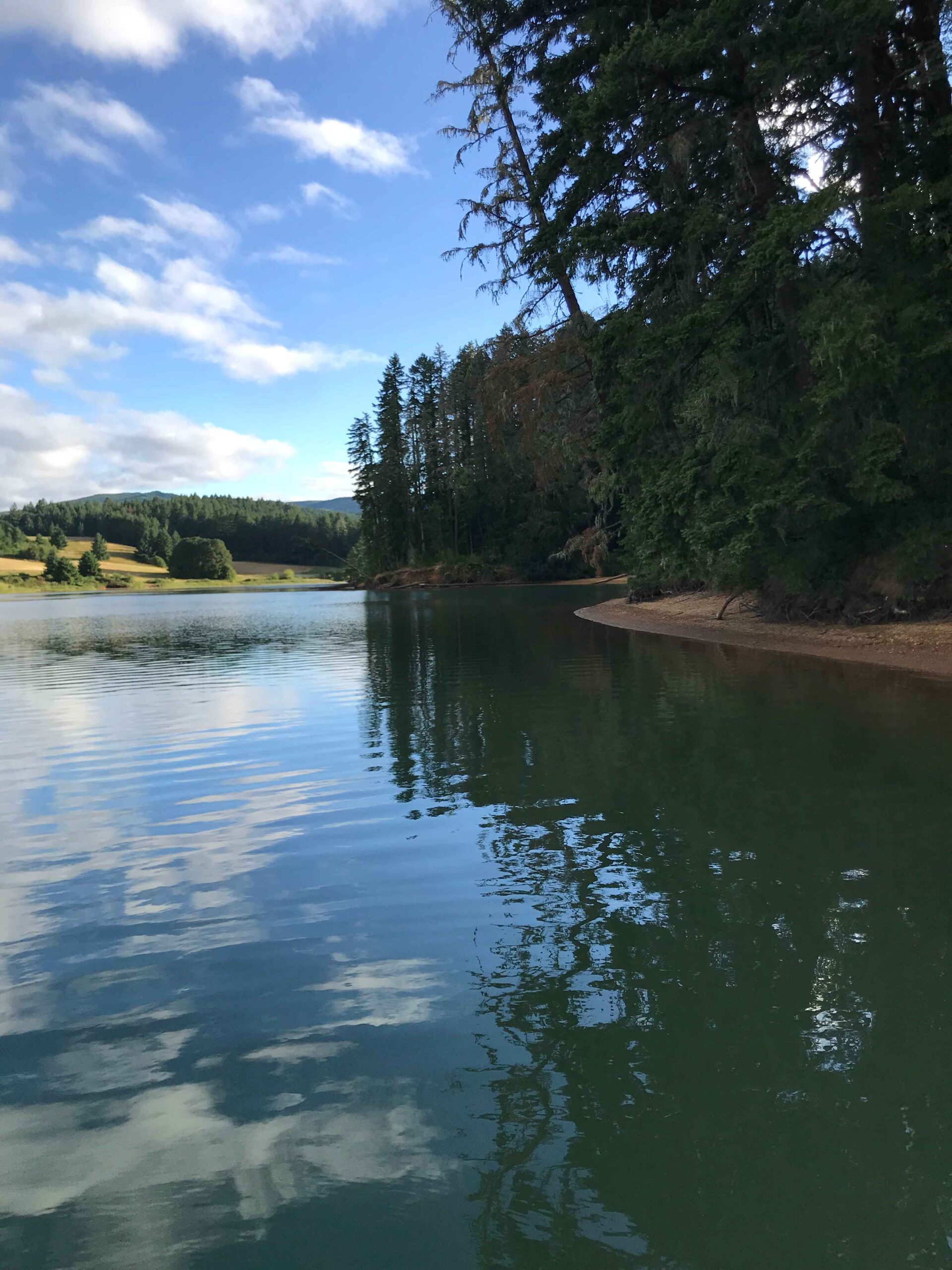What Is the Stepped-Up Basis on Inherited Oregon Land?