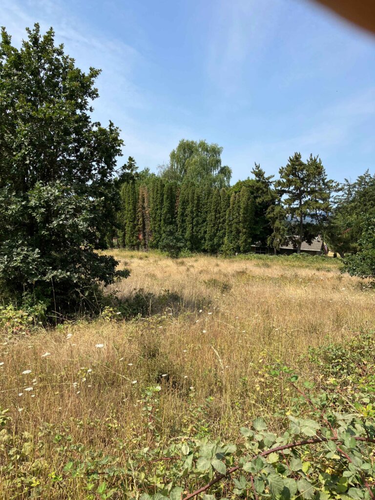 who buys bare land in Oregon, Oregon land buyers