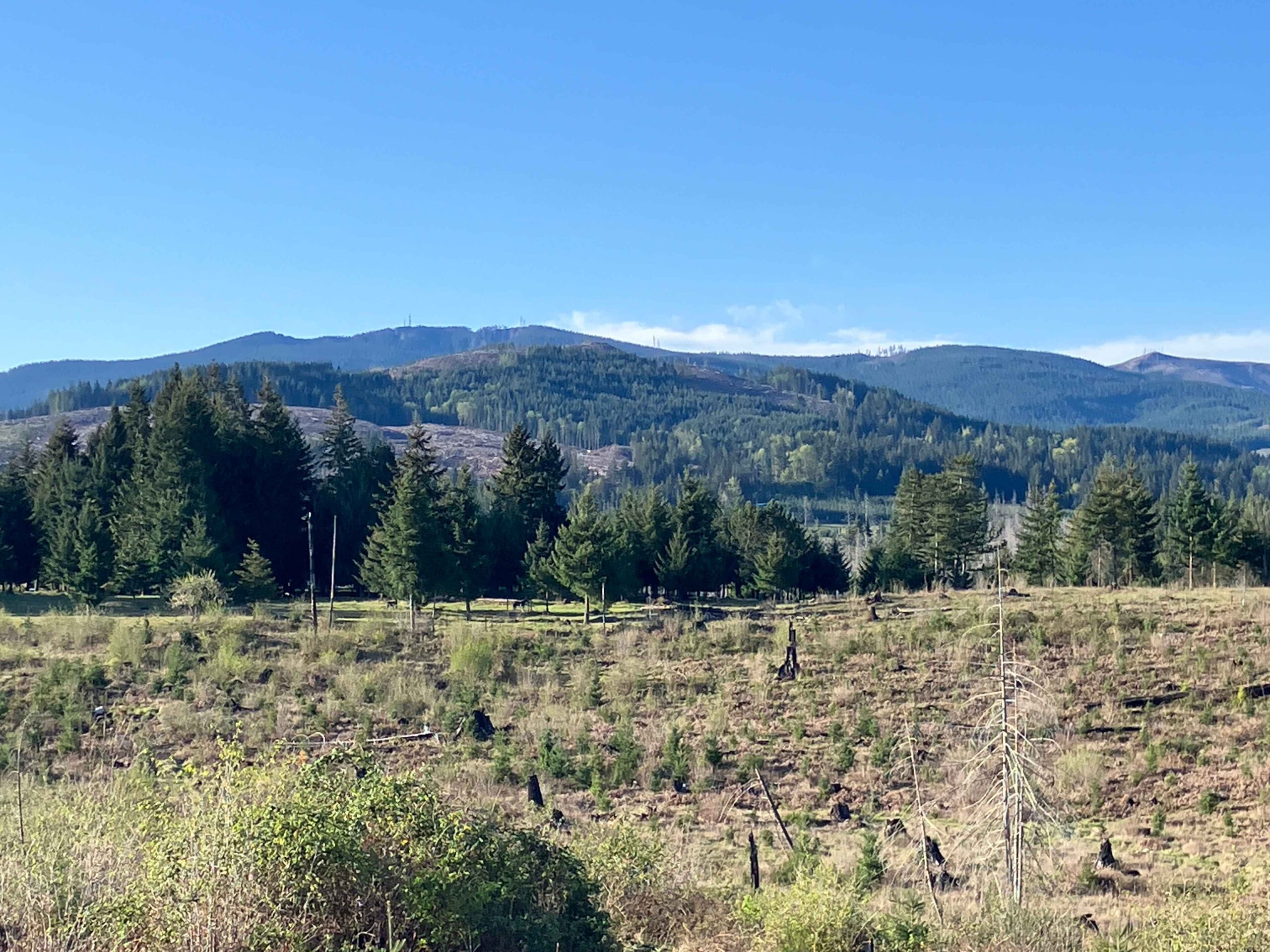 Is a 1031 Exchange Worth It in Oregon?